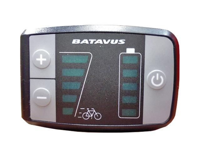 batavus display.jpg